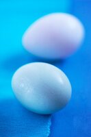Two duck eggs on a blue surface