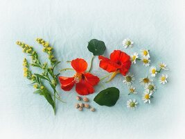 Fresh goldenrod, camomile and nasturtiums