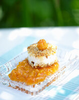 Ziegenkäse-Taler mit Nusskruste auf Moltebeeren-Kompott