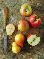 Äpfel und Birnen, teilweise halbiert