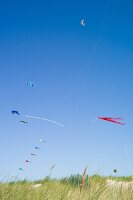 Colourful kites being flown in the dunes on the beach at Warnemünde