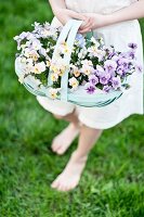 Girl holding chip wood basket of violas