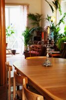 Coloured candles in silver candelabra on wooden table in front of potted palms