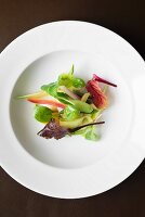 Potato gnocchi with Seirass ricotta cheese (typical ricotta from Piedmont) and salad