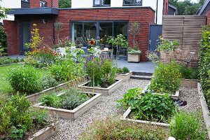 Raised beds in garden; contemporary house with brick extension in background
