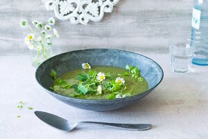Wild herb soup with daisies