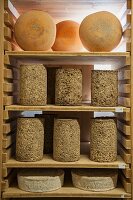 Various expensive cheese sorts for cultivation in the ripening chamber, Alsace