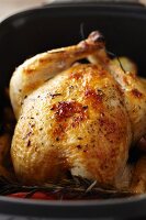 Roast chicken with rosemary