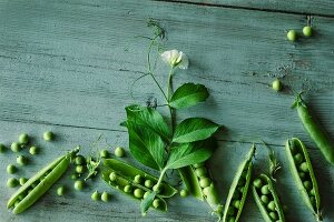 Peas with pods and a flower on a green wooden surface