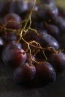 Italian red grapes (close-up)