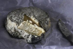 A sliced wheel of Selles sur Cher cheese (goat's cheese, France)