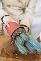 Woman repotting a cactus