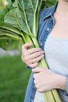 Woman holding bunch of freshly picked rhubarb