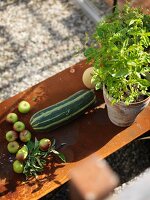 Harvested fruit and vegetables next to potted basil on rusty metal table