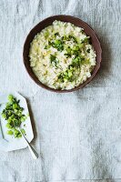 Jerusalem artichoke risotto with vegetarian mountain cheese, Noilly Prat and diced celery
