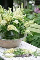 Glass vase of white lupins in ceramic bowl on white wooden table