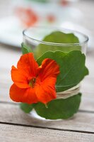 Tealight holder made of glass wrapped with nasturtium leaves and flower