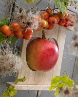 Apfelhalter aus Holz als herbstliche Vogelfutterstation