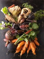 An arrangement of various root vegetables