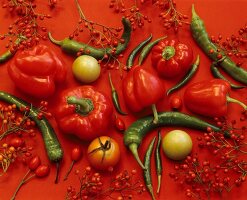 Stillleben mit Paprika, Chili, Tomaten & Hagebutten (bildfüllend)