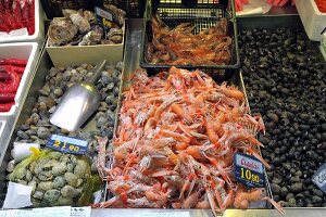 Scampi, Venusmuscheln, Austern und Strandschnecken auf dem Fischmarkt in Bilbao, Baskenland, Spanien
