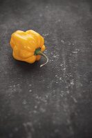 A yellow Habanero chilli pepper on a grey surface