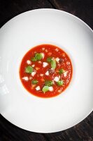 Cold tomato soup with mozzarella and pesto (seen from above)