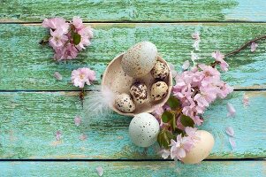 Easter eggs and quail's eggs in bowl and branch of cherry blossom on wooden surface