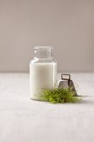 Vegane Milch in Glasgefäss