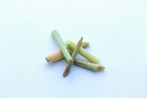 Fresh sticks of lemongrass
