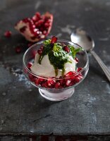 Frozen vegan soya yoghurt with pomegranate seeds and basil and ginger sauce