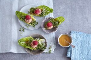 Ziegenkäse-Schiffchen mit Himbeeren & Honigsenf