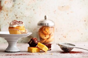 Süßes Fingerfood (Cupcakes, Brownies, Blondies und Cookies)