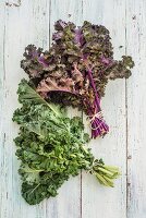 Bundles of green and purple kale