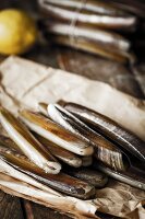 Fresh razor clams on a piece of paper