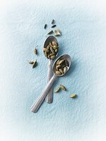 Cardamom pods on spoons