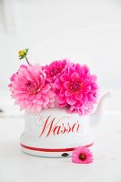 Pink dahlias in vintage kettle