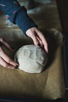 Sauerteig-Brotlaib auf Backblech legen