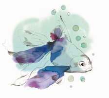 Illustration Sternzeichen Fische