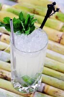 Mojito (Cocktail mit Rum, Limettensaft und Minze)