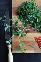 Oregano and chilli peppers on a chopping board (ingredients for chimi churri)