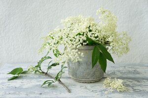 Elderflowers in old bundt cake tin