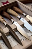 Knives with horn handles