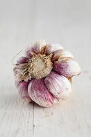 The bottom of a dried, pink and white bulb of garlic