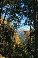 Sommer im Kurort Bad Gastein, Österreich