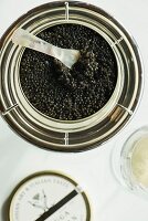 Schwarzer Kaviar in Dose mit Perlmuttlöffel