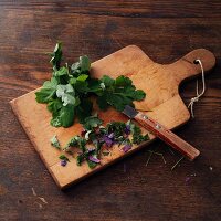 Columbine, chopped on a wooden board (for making columbine wine à la Hildegard von Bingen)