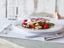 Trout fillet, lentil and apple salad with radishes for brunch