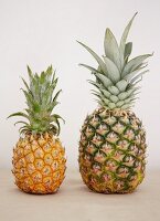 A large pineapple and a baby pineapple next to other