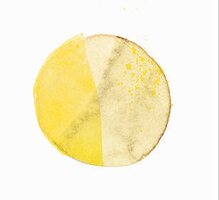 A circle in two shades of yellow (illustration)